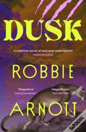 Capa do artigo Dusk