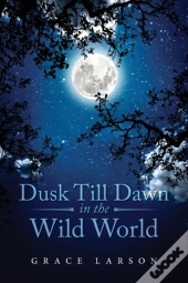 Dusk Till Dawn In The Wild World