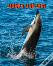Capa do artigo Dusky Dolphin
