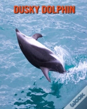 Capa do artigo Dusky Dolphin