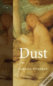 Capa do artigo Dust