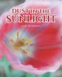 Dust In The Sunlight - Preview