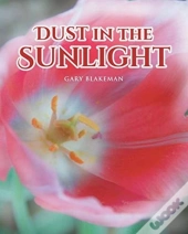 Dust In The Sunlight