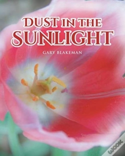 Capa do artigo Dust In The Sunlight