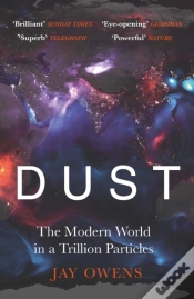 Capa do artigo Dust