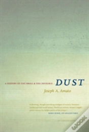 Capa do artigo Dust