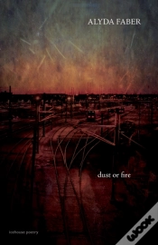 Capa do artigo Dust Or Fire
