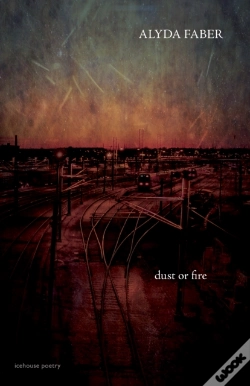 Capa do artigo Dust Or Fire
