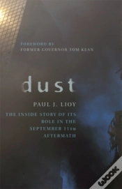 Capa do artigo Dust