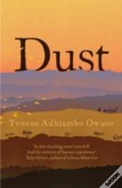 Capa do artigo Dust