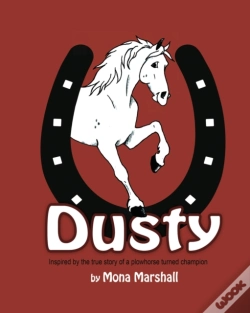 Capa do artigo Dusty