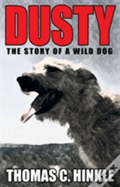 Capa do artigo Dusty