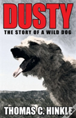 Capa do artigo Dusty