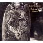 Duw a Wyr (God Only Knows) - CD - Preview