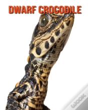 Capa do artigo Dwarf Crocodile