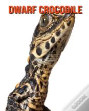 Dwarf Crocodile