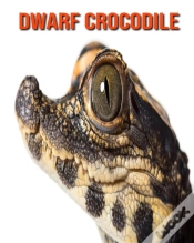 Capa do artigo Dwarf Crocodile