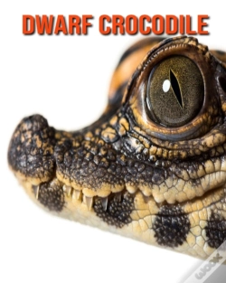 Capa do artigo Dwarf Crocodile
