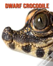 Dwarf Crocodile