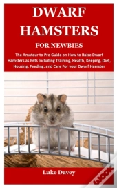 Dwarf Hamsters For Newbies
