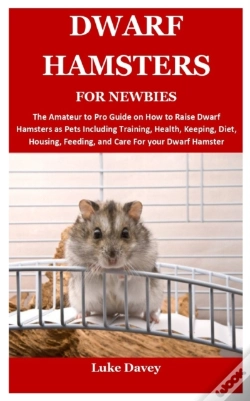 Capa do artigo Dwarf Hamsters For Newbies
