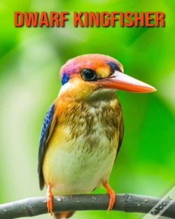 Capa do artigo Dwarf Kingfisher