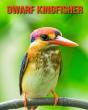 Dwarf Kingfisher - Preview