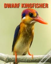 Dwarf Kingfisher