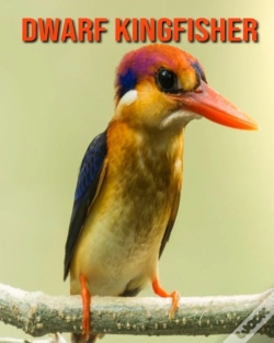 Capa do artigo Dwarf Kingfisher