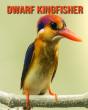 Dwarf Kingfisher - Preview