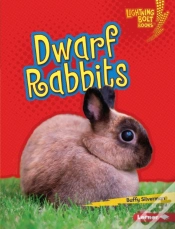 Capa do artigo Dwarf Rabbits