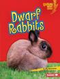 Dwarf Rabbits - Preview