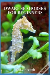 Dwarf Seahorses For Beginners