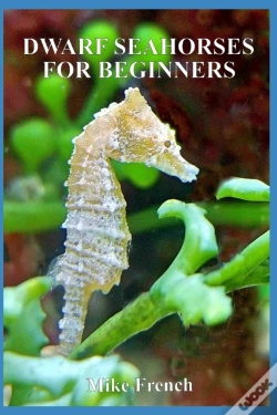 Capa do artigo Dwarf Seahorses For Beginners