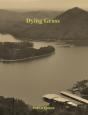Dying Grass - Preview