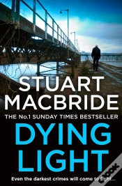 Capa do artigo Dying Light