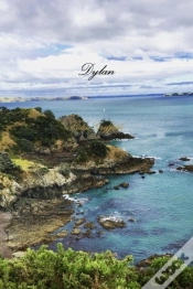 Capa do artigo Dylan