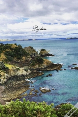 Capa do artigo Dylan