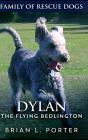 Dylan The Flying Bedlington - Preview