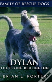 Capa do artigo Dylan The Flying Bedlington