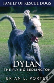 Capa do artigo Dylan - The Flying Bedlington
