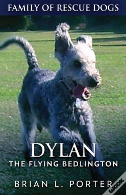 Capa do artigo Dylan - The Flying Bedlington