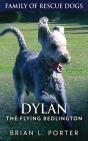 Dylan - The Flying Bedlington - Preview