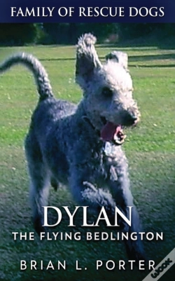 Capa do artigo Dylan - The Flying Bedlington
