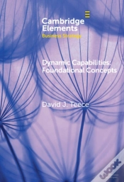 Capa do artigo Dynamic Capabilities