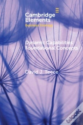 Dynamic Capabilities