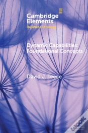 Capa do artigo Dynamic Capabilities