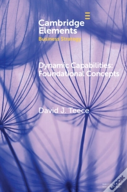 Capa do artigo Dynamic Capabilities