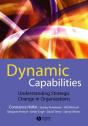 Dynamic Capabilities - Preview