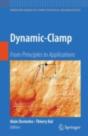 Dynamic-Clamp - Preview